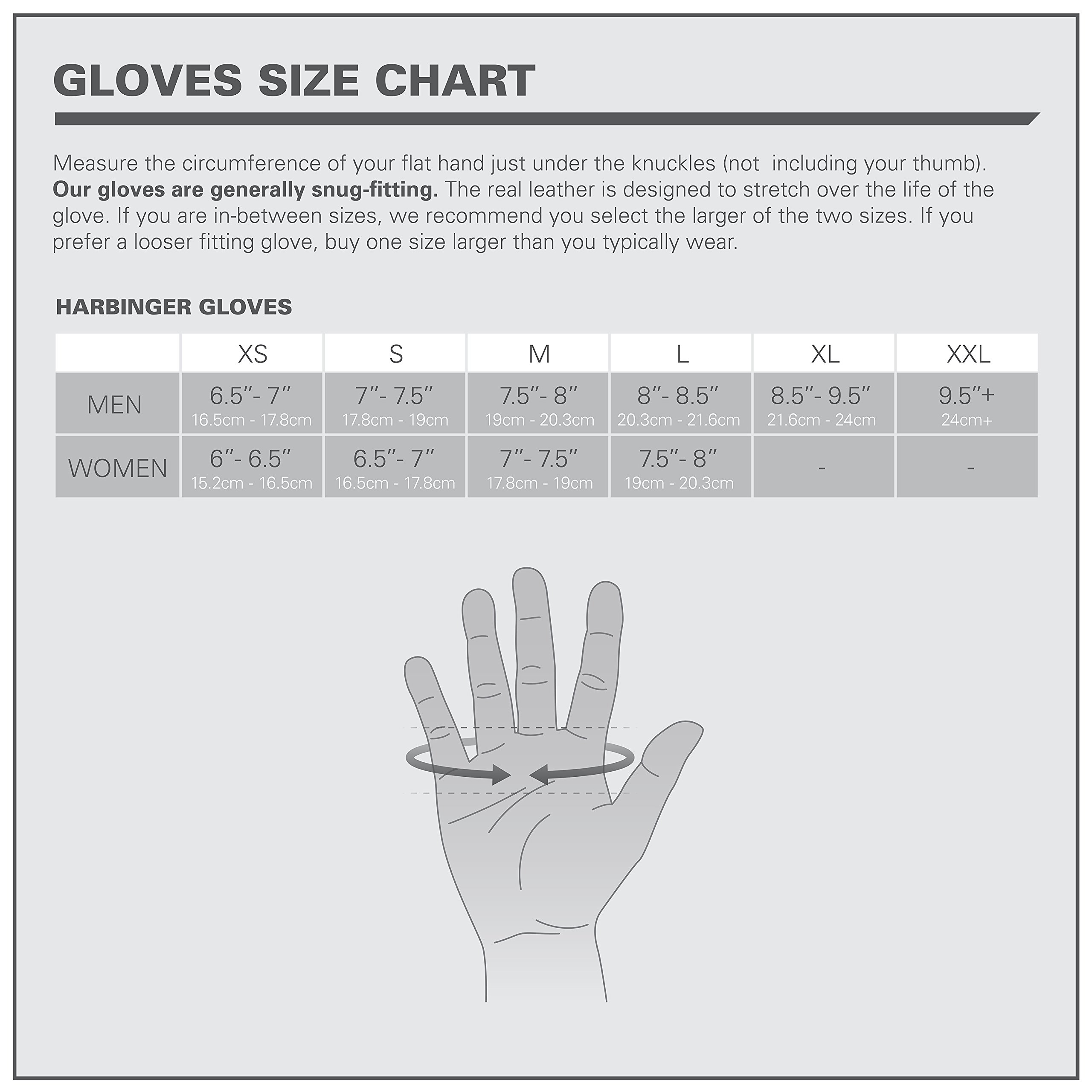 ウエイトトレーニング Harbinger Bioflex Wristwrap Glove Gray L ウエイトトレーニング Harbinger Bioflex Wristwrap Glove Gray